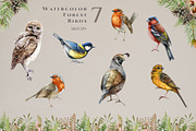 Forest Animals Watercolor Clipart, an Animal Illustration by AnitaPol (Thumbnail 3 of 19)