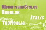 Benjor Regular, a Sans Serif Font by Incstone Design by Megami (Thumbnail 3 of 8)