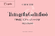 Megain Ligature Serif Typeface, a Serif Font by Humaira_std (Thumbnail 13 of 14)