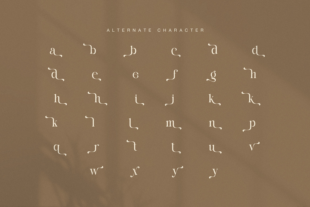 Silkon Elegant Serif Font, a Serif Font by Graphicxell (Photo 8 of 8)