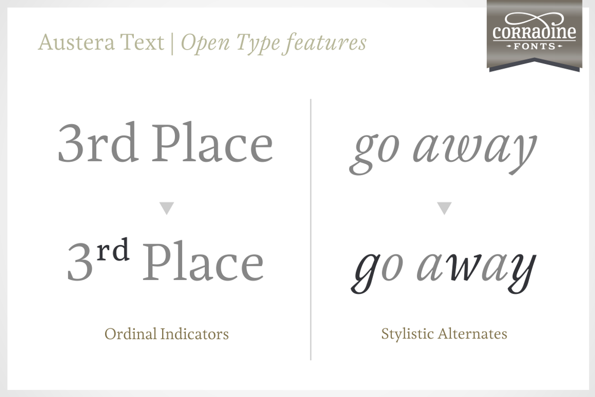 Austera Text Essential #3, a Serif Font by Corradine Fonts (Photo 6 of 14)