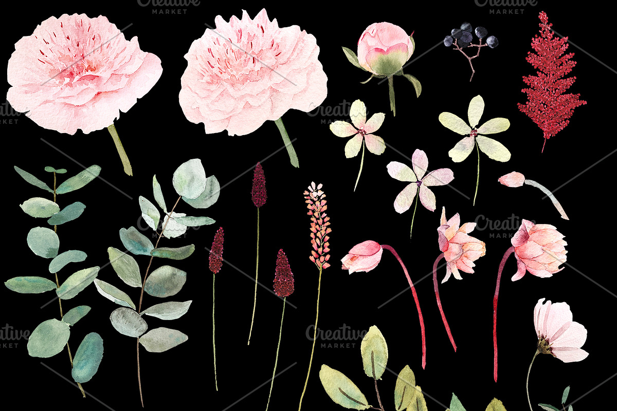 Watercolor peony and eucalyptus, a Decorative Illustration by marie dricot (Photo 9 of 11)
