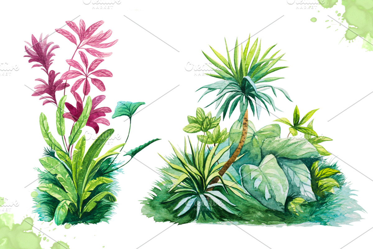 Watercolor tropical leaves set#2., a Decorative Illustration by AlexGreenArt (Photo 2 of 7)