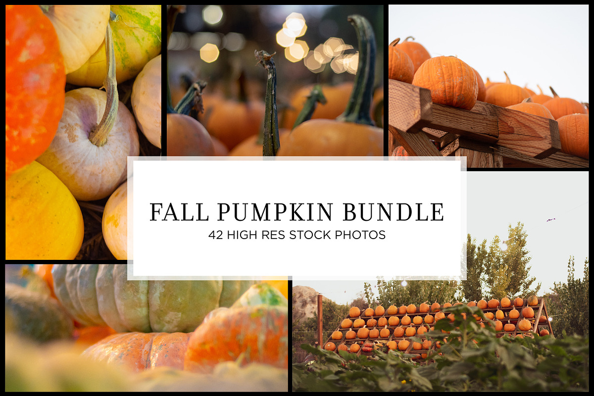 Fall Pumpkin Stock Bundle, a Holiday Photo by r.r.palacios (Photo 1 of 15)