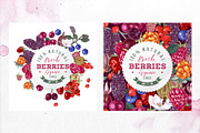 Fresh berries, a Food Illustration by handsketched (Thumbnail 5 of 21)