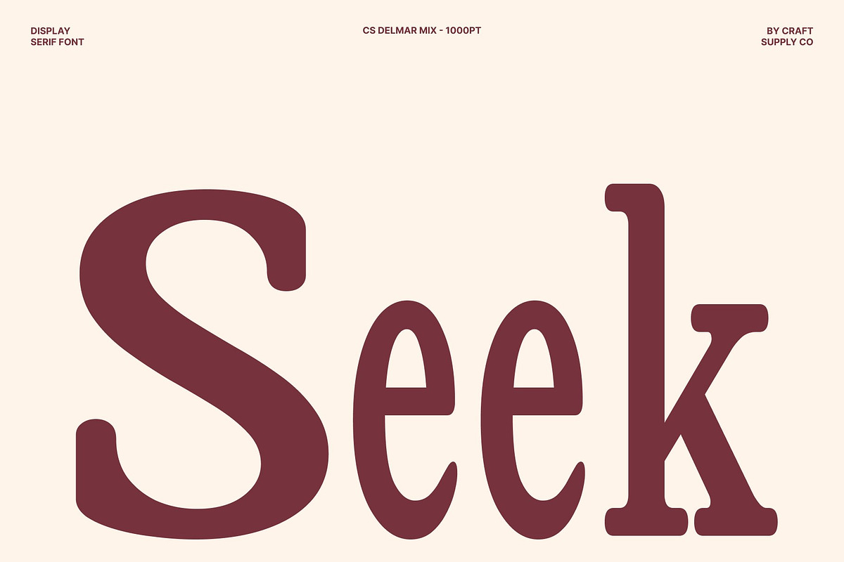 CS Delmar Mix, a Serif Font by Craft Supply Co. (Photo 2 of 8)