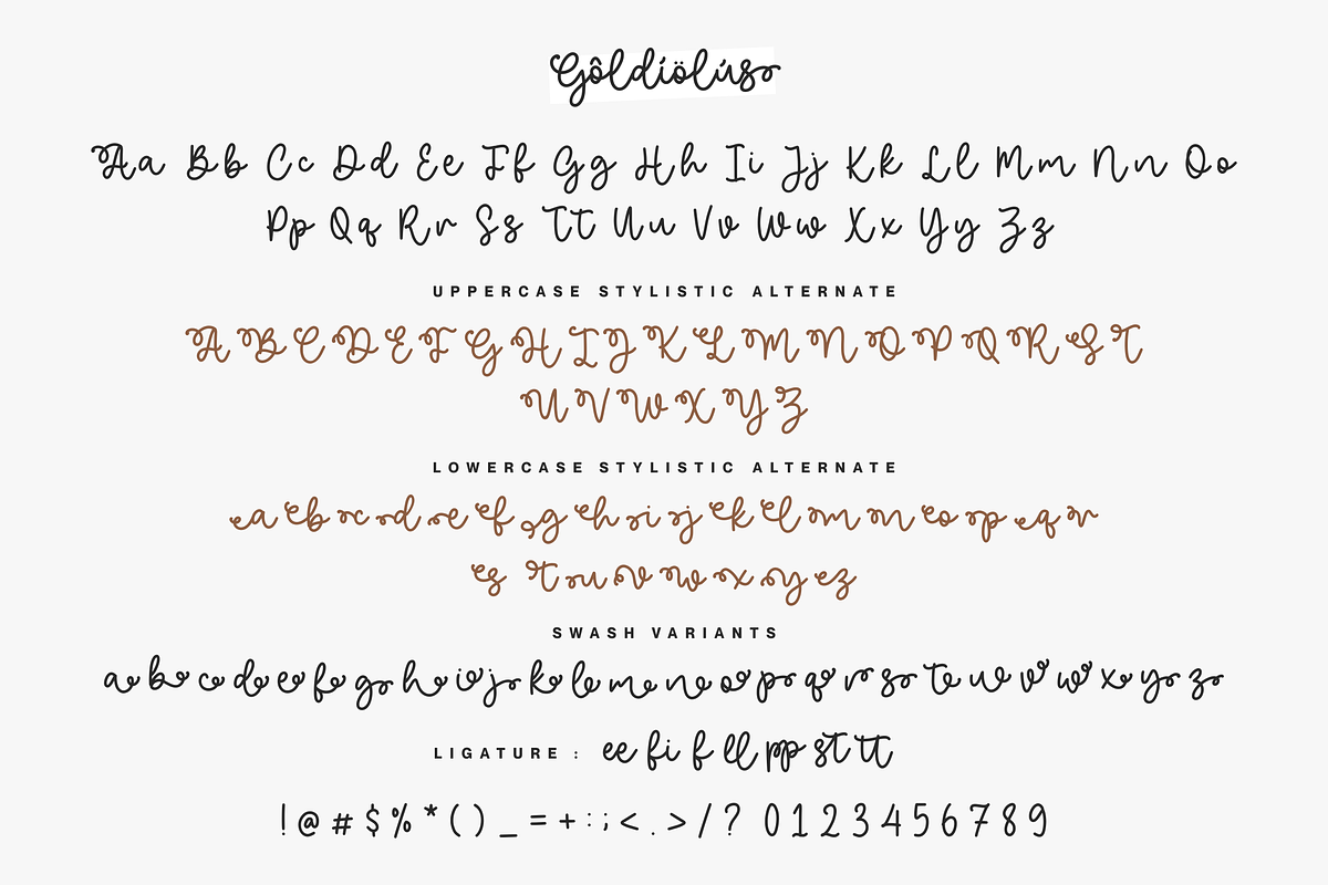 Goldiolus Font, a Script Font by Allouse Studio (Photo 4 of 10)