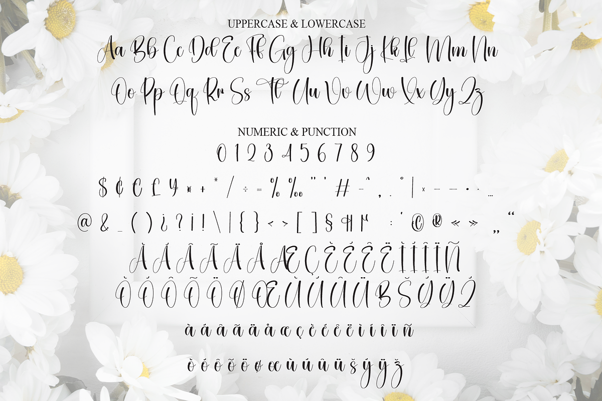 Hey Daisy | Script Font, a Handwritten Font by Scratchones (Photo 7 of 9)
