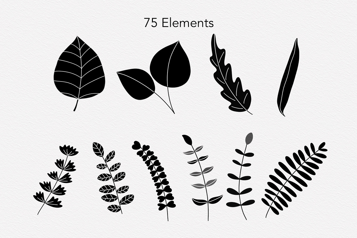 Lovely Floral Doodles, a Brush Add-On by Sense Library (Photo 11 of 30)