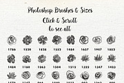 Watercolor Floral Garden PS Brushes, a Brush Add-On by La Bella Rue (Thumbnail 2 of 10)