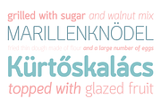 Lounge, a Sans Serif Font by Typomancer (Thumbnail 2 of 5)