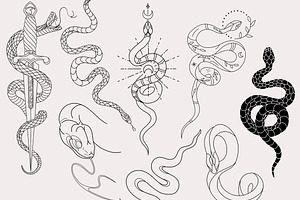 30 Procreate Snake Stamps