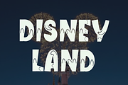 Delight Journey, a Script Font by FreshTypeINK (Thumbnail 4 of 8)