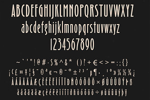 Arina Clasic Sans Serif Font