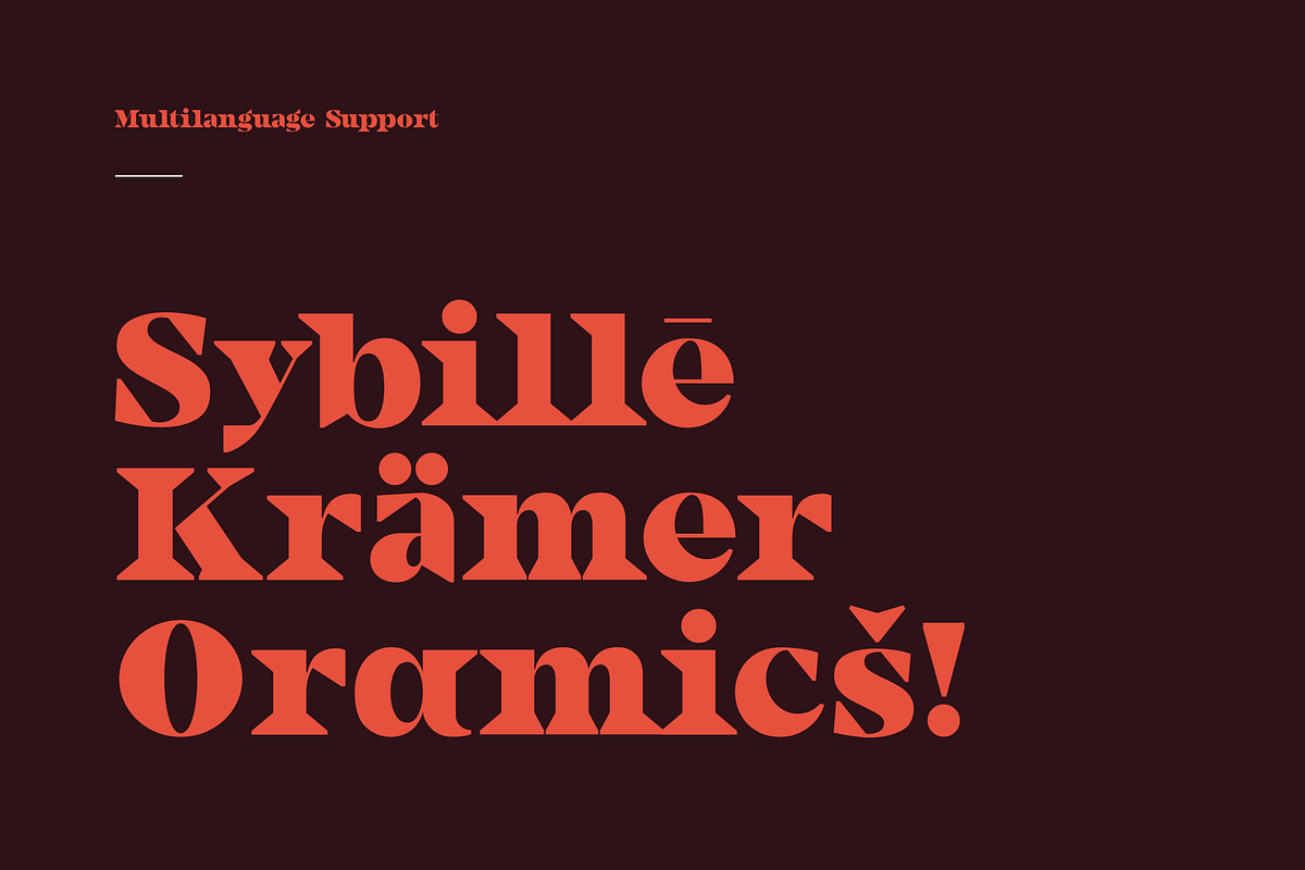 Camijo Display Serif Font preview 5