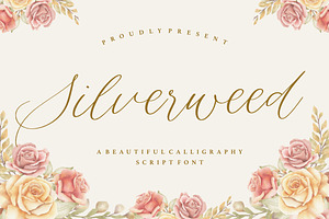 Silverweed - Calligraphy Script Font