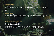 Mirevyn | Simple Serif Display Font, a Serif Font by Everyday Perfection (Thumbnail 2 of 5)