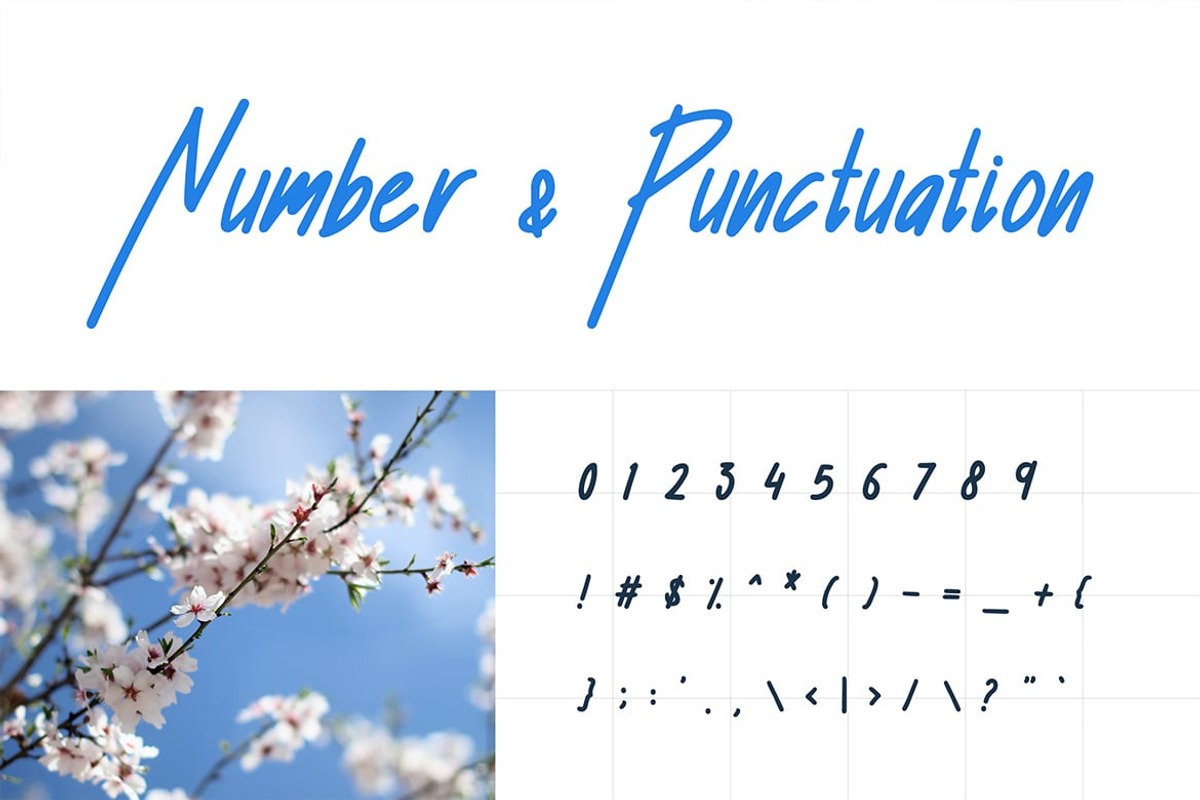 Shelley - Elegant Handwritten Script, a Script Font by Luna Shop (Photo 5 of 6)