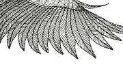 Cyanistes caeruleus, an Animal Illustration by Stefania Matteazzi (Thumbnail 2 of 3)