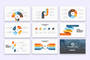 Project Management Infographic Slide