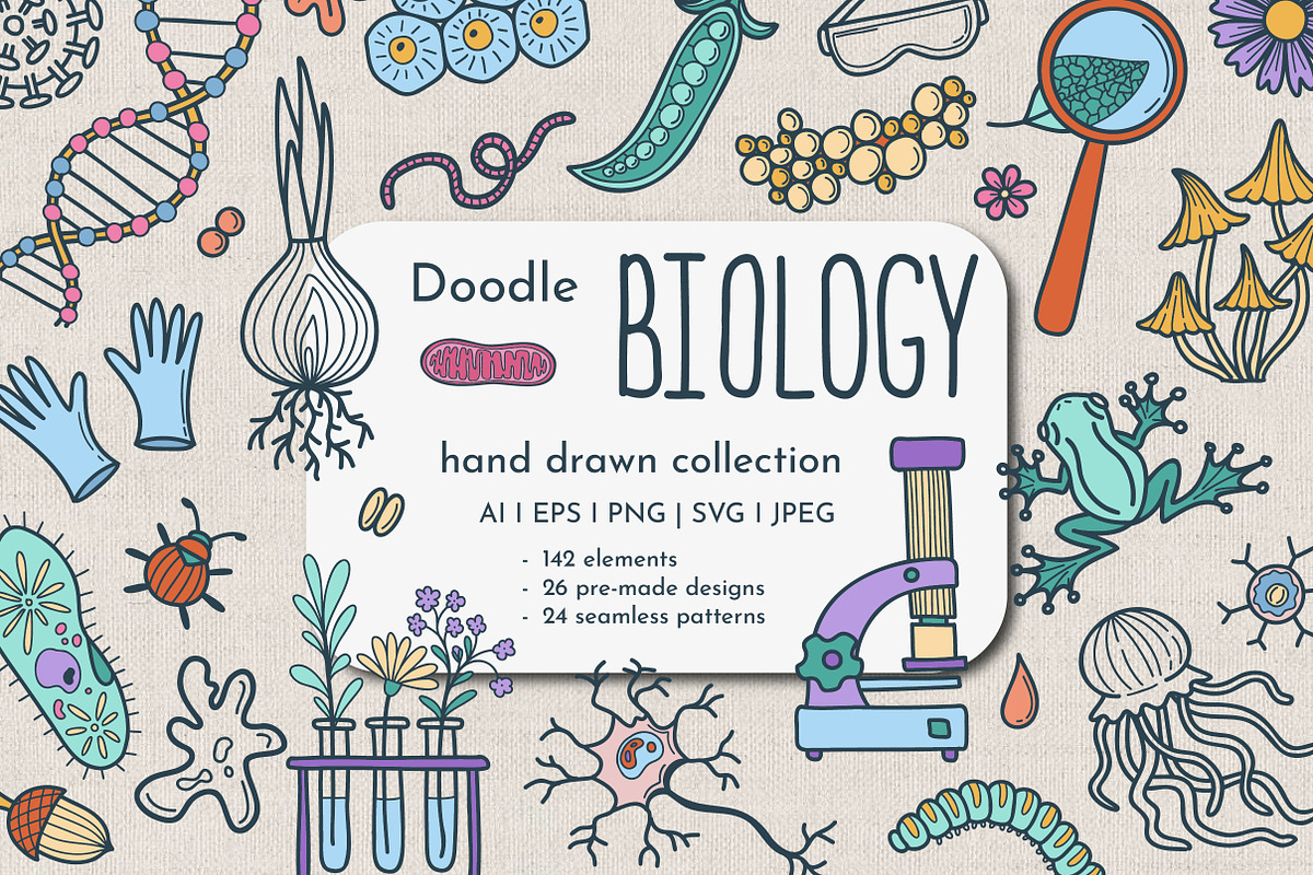 Hand Drawn Doodle Biology Clipart, an Object Graphic by KathrineWatercolor (Photo 1 of 10)