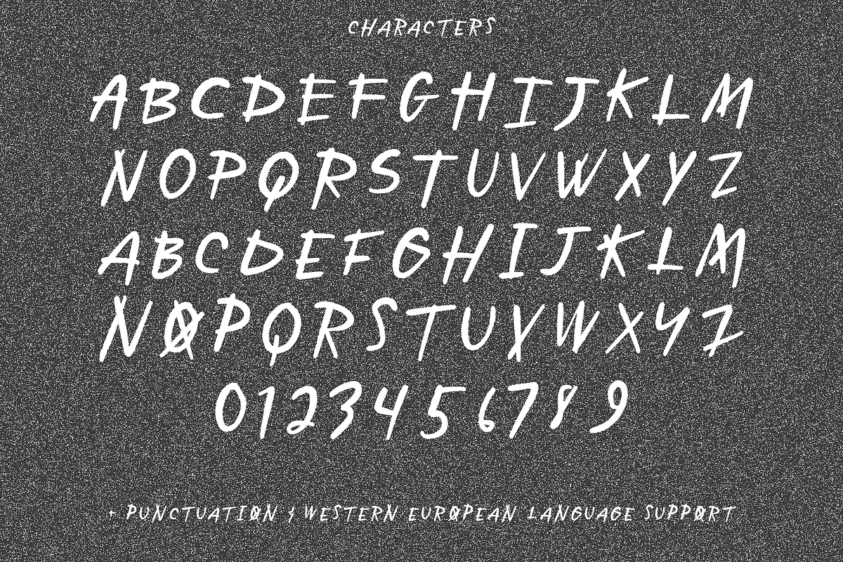 Zodiak Display Font, a Handwritten Font by Beck McCormick (Photo 10 of 10)