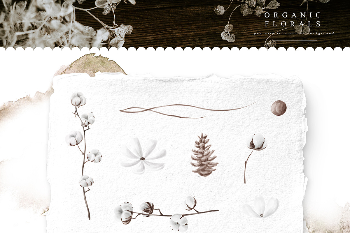 Trendy Leaf Collection, a Texture Illustration by Julia Dreams (Photo 9 of 10)