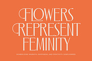 Zamilah Modern Serif Display, a Serif Font by timelesstype.co (Thumbnail 4 of 20)