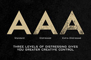 Broadwell Distressed Font, a Sans Serif Font by Parker Creative (Thumbnail 4 of 6)