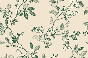 Botanical illustration of a seamless repeat pattern with hand dr, a Pattern Graphic by Anneleven