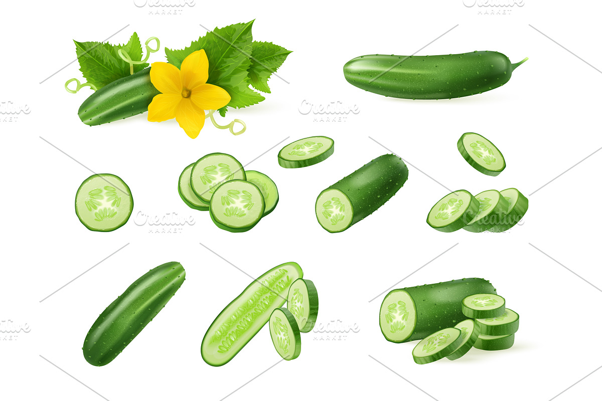 Realistic cucumber. 3d cucumbers, a Food Illustration by Stock-Smart-Start