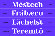 Bold Dignify - Minimalist Calm Serif, a Serif Font by Fridaytype (Thumbnail 12 of 12)