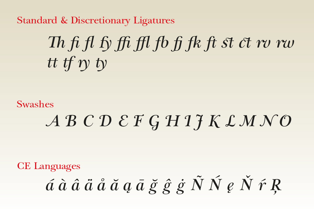 Eurotypo BKL Italic, a Script Font by Eurotypo (Photo 5 of 8)