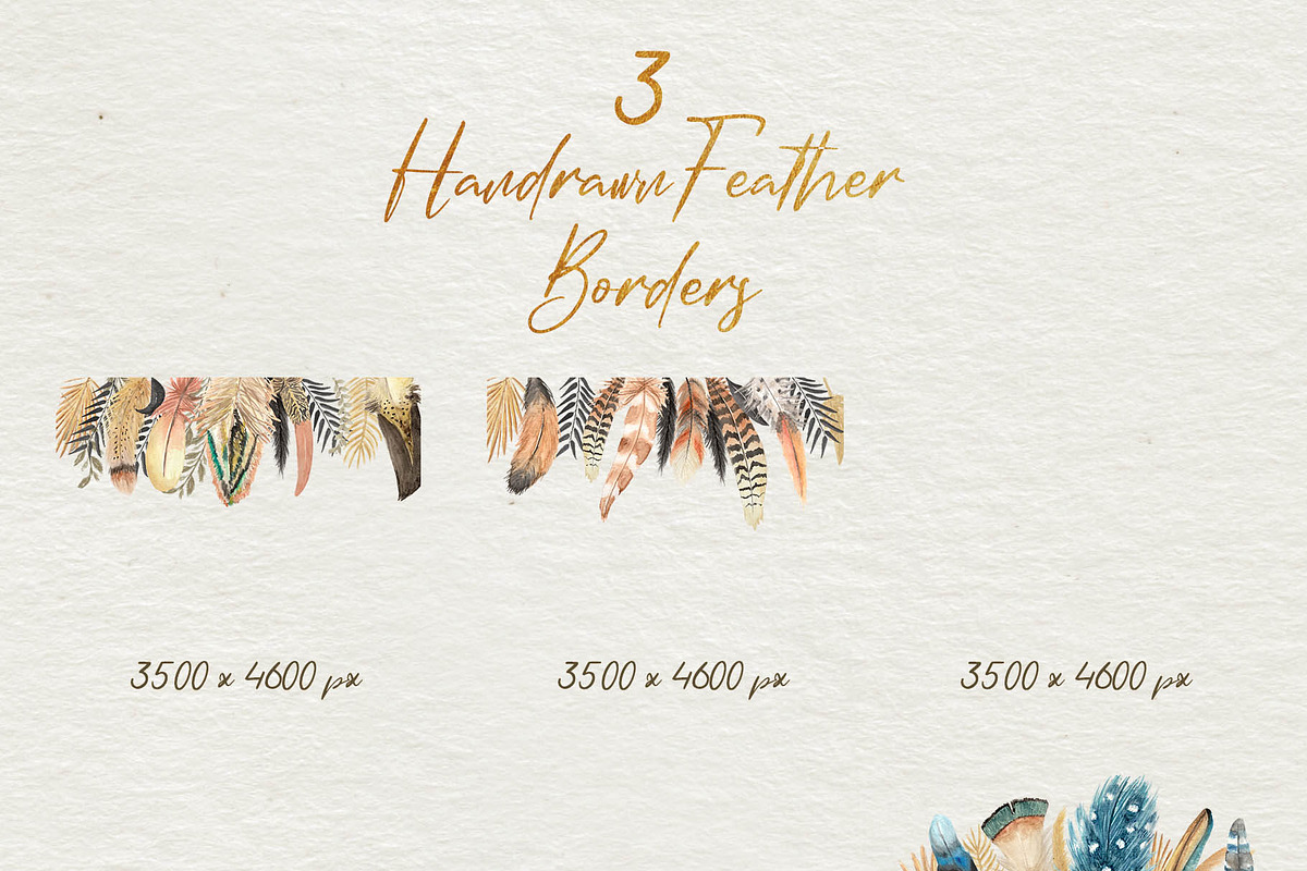 Watercolor Feathers Collection, a Decorative Illustration by GRANCI STUDIOS (Photo 10 of 12)