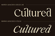 Shows Gracious | Regular + Italic, a Serif Font by roomspace creative lab (Thumbnail 3 of 14)