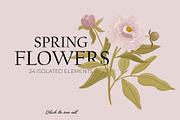 Seasonal Botany BUNDLE, an Object Graphic by Ruslana Lubenets (Thumbnail 41 of 100)