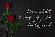 Belgium Catherine, a Handwritten Font by Almarkhatype (Thumbnail 9 of 12)