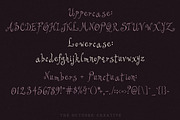 Agnes After Dark Curly Display Font, a Handwritten Font by The October Creative (Thumbnail 2 of 8)