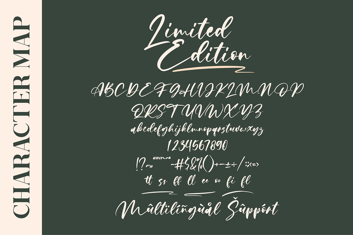 Limited Edition Signature Script LS, a Script Font by GranzCreative (Photo 6 of 15)