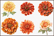 Watercolor Autumn Flowers Clipart, an Illustration by Sublimation Artist (Thumbnail 3 of 6)