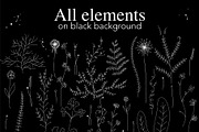 Set of wild flowers, an Object Graphic by Red_cat (Thumbnail 3 of 8)