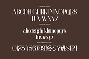 Angilia Elegant Ligature Serif Font, a Serif Font by Perfectype (Thumbnail 7 of 9)