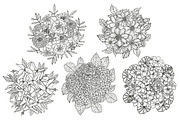 33 Floral Bouquets Set, a Decorative Illustration by Sunset&Sea Design (Thumbnail 5 of 6)
