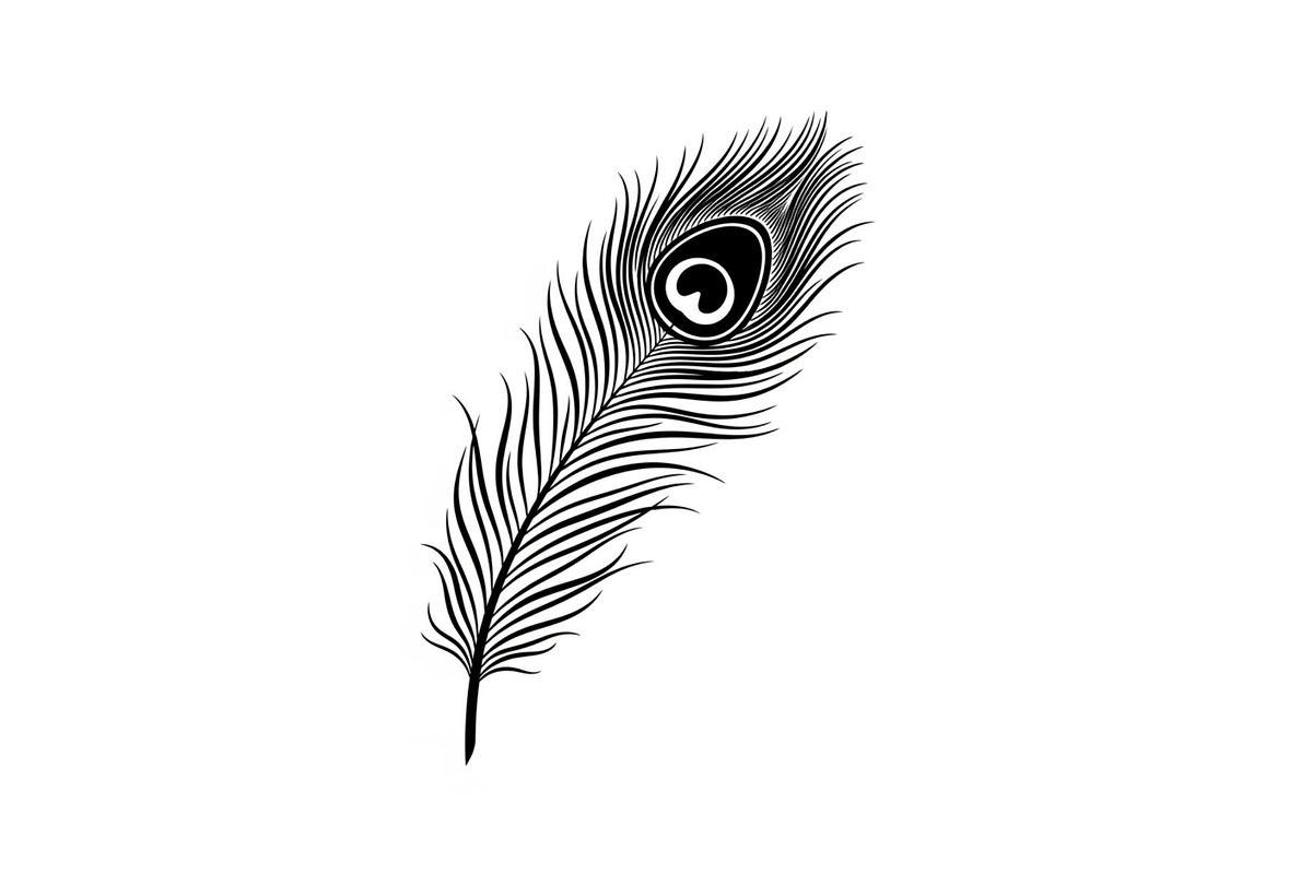 Peacock Feather Silhouette Bundle, an Illustration by jahid234 (Photo 26 of 31)
