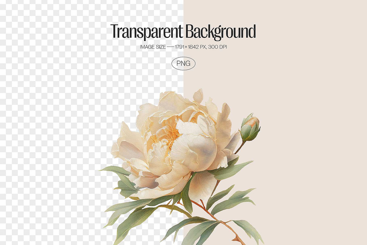 Peony - watercolor illustrations, a Decorative Illustration by AI Crafted Magnolia (Photo 2 of 12)