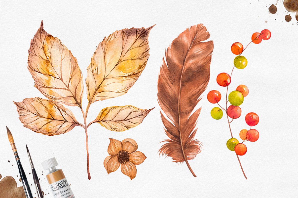 Herbarium Master Collection, a Decorative Illustration by AlexGreenArt (Photo 3 of 12)
