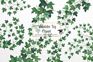 Watercolor Ivy Clipart, an Illustration by Digital Curio