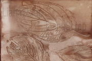 36 ECO Dyed paper - Forest Floor, a Texture Graphic by LianaScrap (Thumbnail 15 of 19)