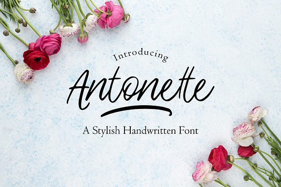 Antonette - Handwritten Font preview 8