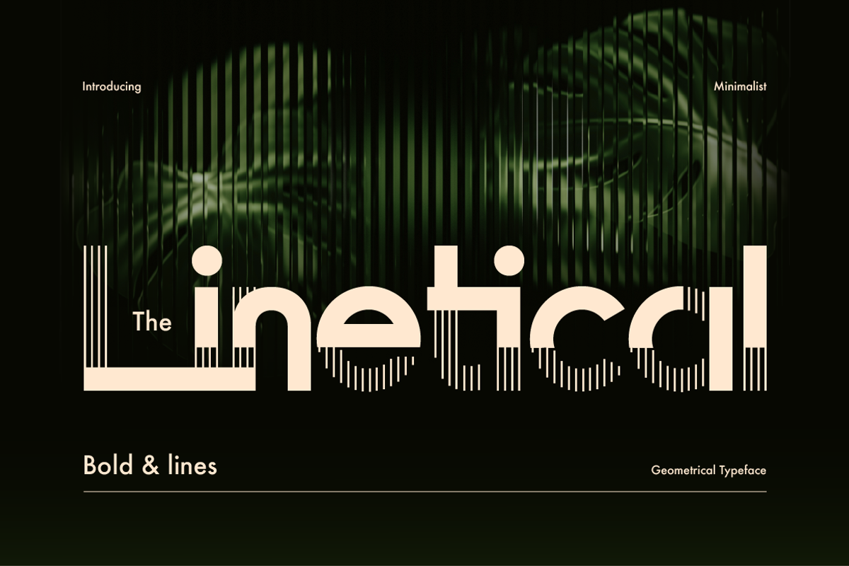 Linetical, a Sans Serif Font by Burntilldead (Photo 1 of 12)